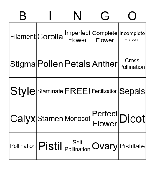 Parts of a Flower Bingo Card