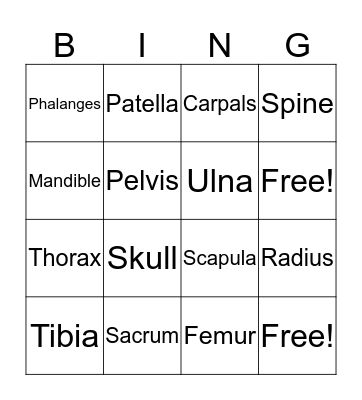 Skeletal System Bingo Card