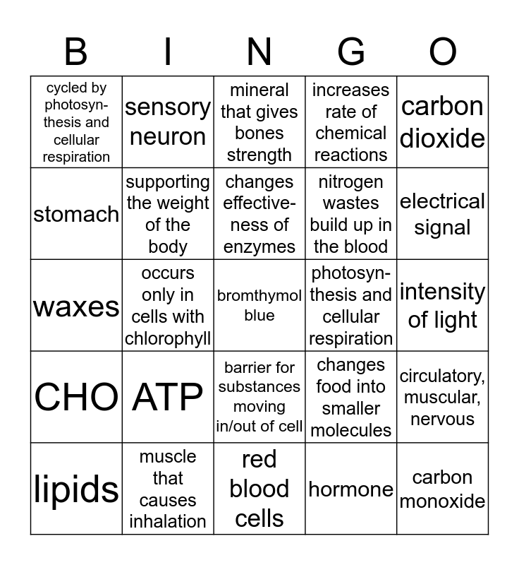 Semester 1 Final Review Bingo Card