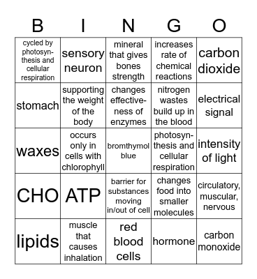Semester 1 Final Review Bingo Card