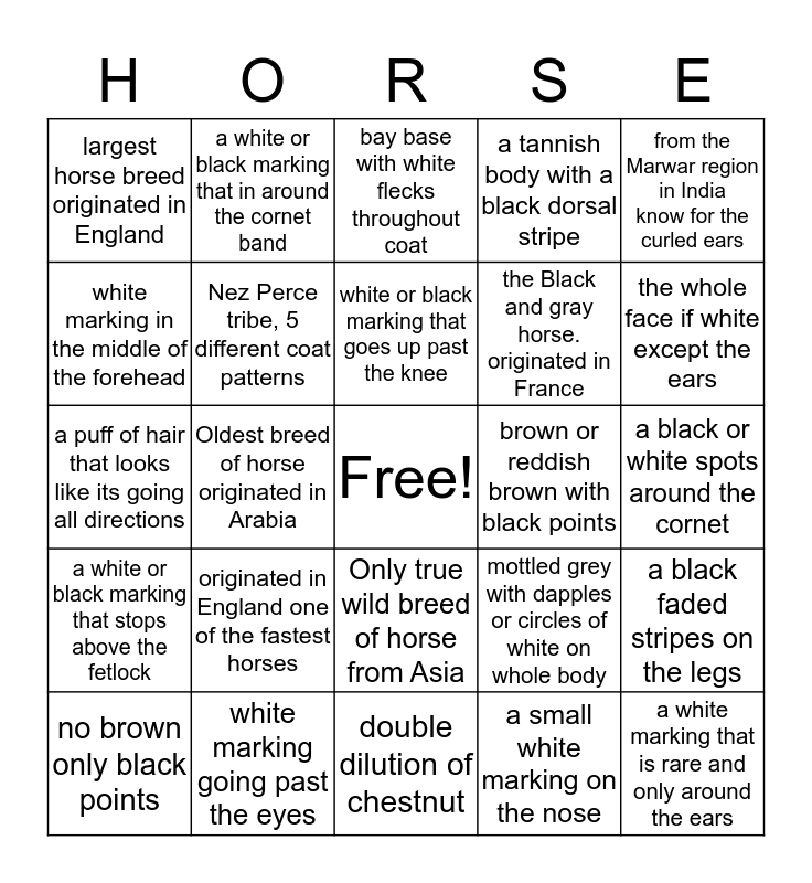 Horse Bingo (colors, markings and breeds) Bingo Card