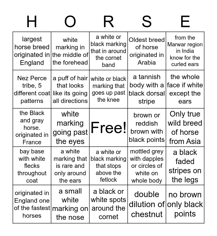 Horse Bingo (colors, markings and breeds) Bingo Card