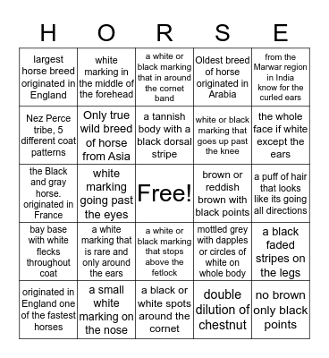 Horse Bingo (colors, markings and breeds) Bingo Card