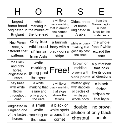 Horse Bingo (colors, markings and breeds) Bingo Card