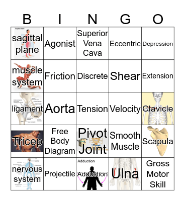 Final 1 Review Bingo Card