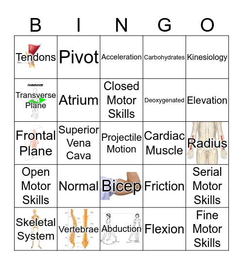 Final 1 Review Bingo Card