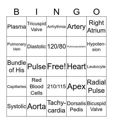 Circulatory System Bingo Card