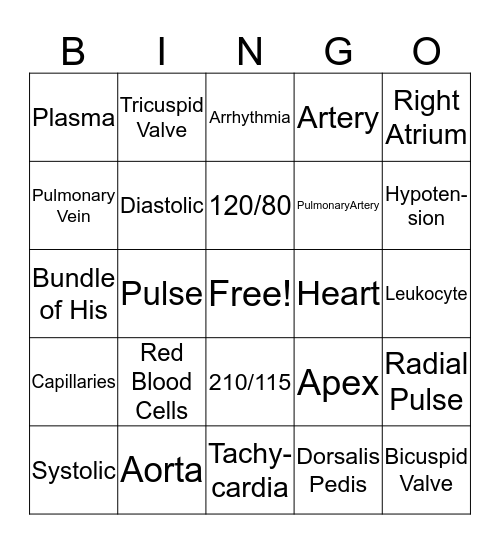 Circulatory System Bingo Card