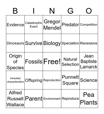 Evolution Basics Bingo Card