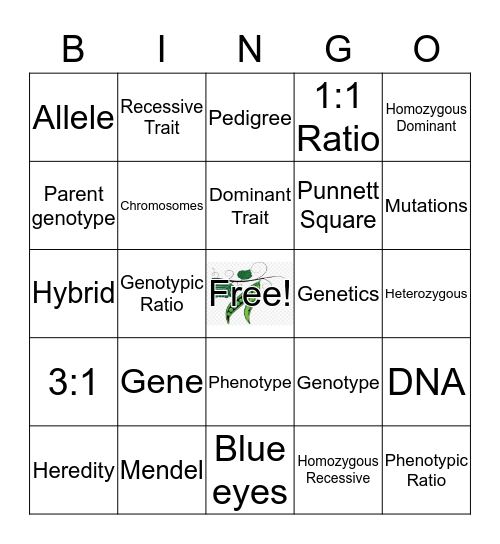 Genetics Bingo Card