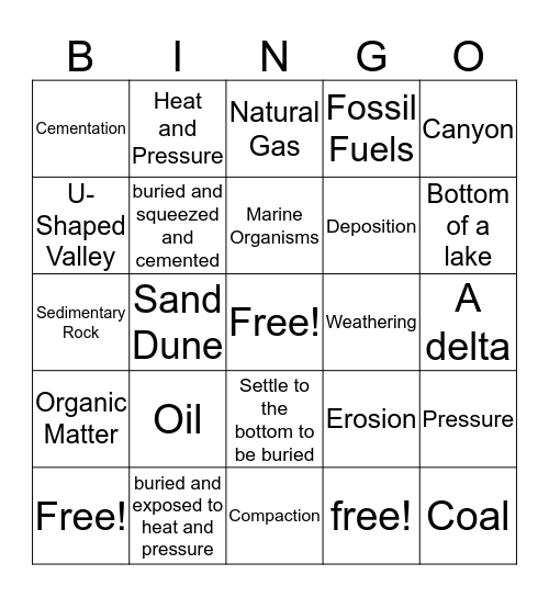 Test Review Bingo Card