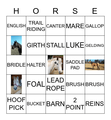 HORSE BINGO Card