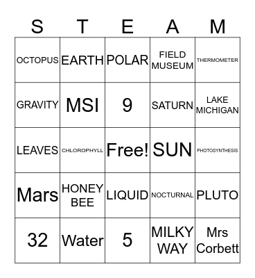 STEAM BINGO Card