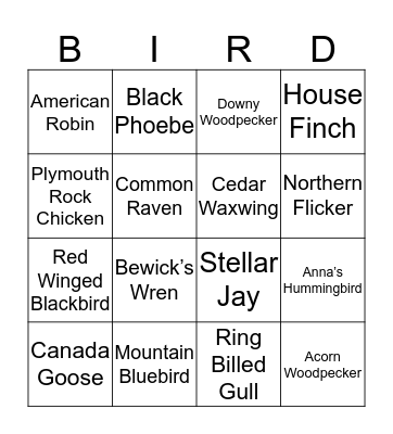 Birdo Bingo Card