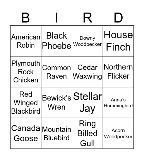 Birdo Bingo Card