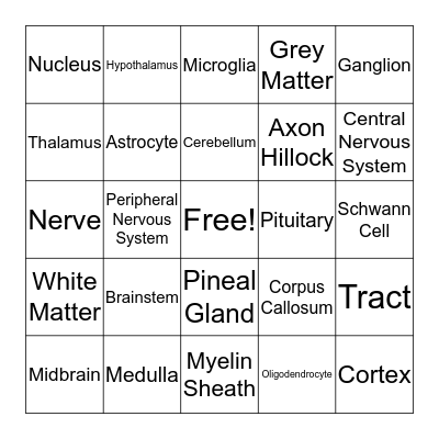 Brain Bingo! Bingo Card