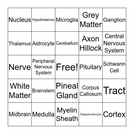 Brain Bingo! Bingo Card