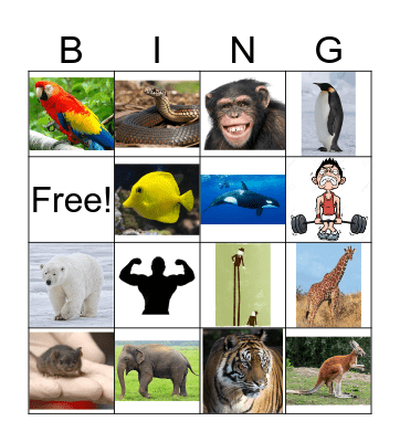 Zoo Pictures Bingo Card