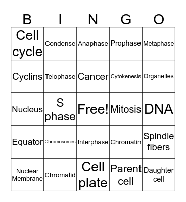 Mitosis Bingo Card