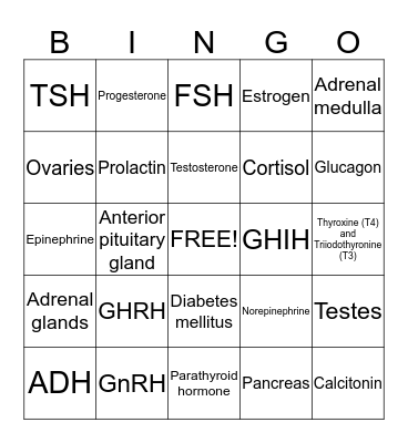 Endocrine Bingo Card