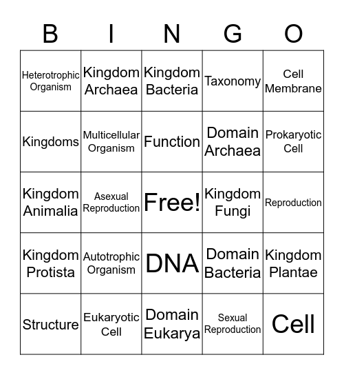 Classification  Bingo Card