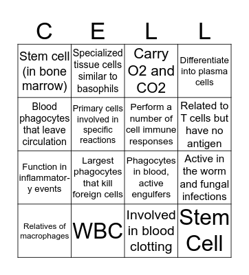 Lymph Immune Bingo  Bingo Card