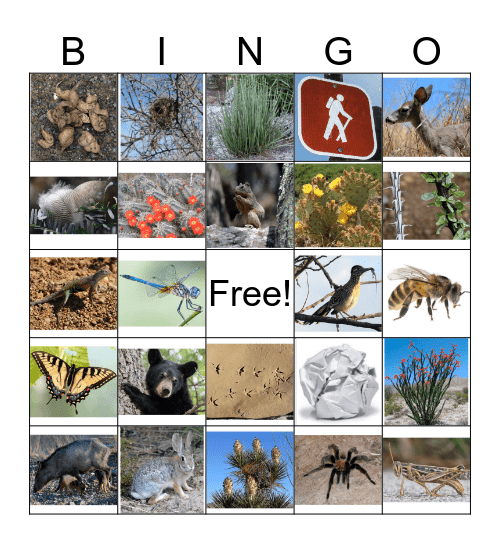 Big Bend Bingo Card