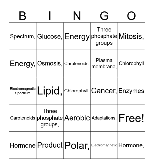 BIO Sem 1 Final Bingo Card