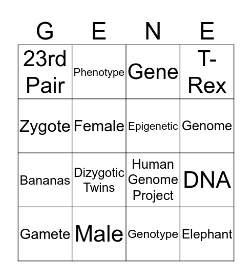 Heredity and Environment  Bingo Card