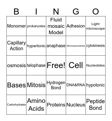 Biology Midterm Review  Bingo Card