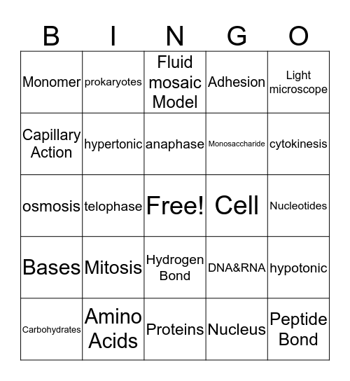 Biology Midterm Review  Bingo Card