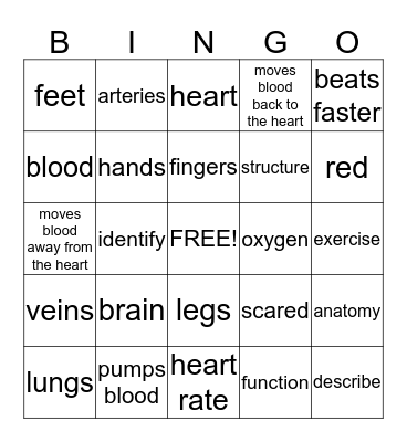 Circulatory System Bingo Card