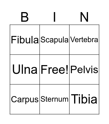 Skeletal System  Bingo Card