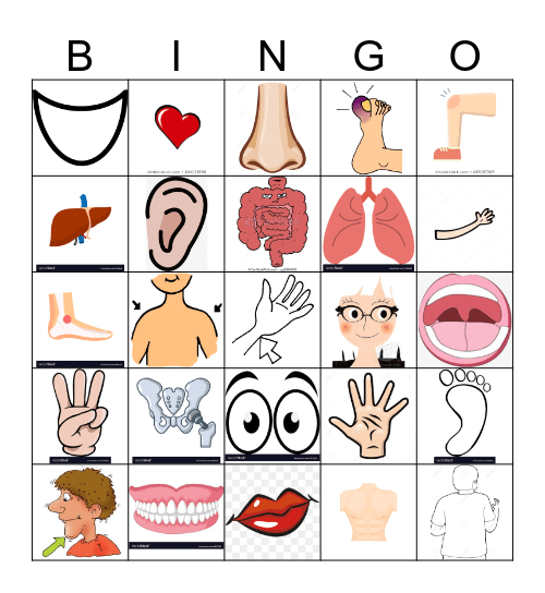 El Cuerpo Bingo Card