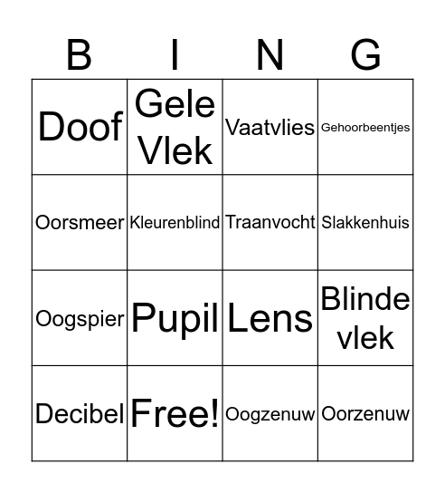 Waarneming en regeling 2KGT Bingo Card