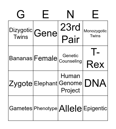Heredity and Environment  Bingo Card