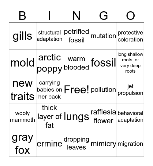 Adaptations Bingo Card