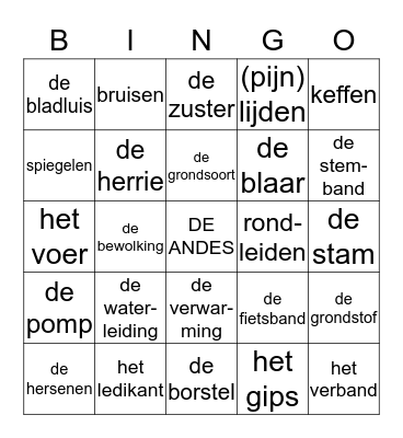 Groep 5  thema's 7 en 8 Bingo Card