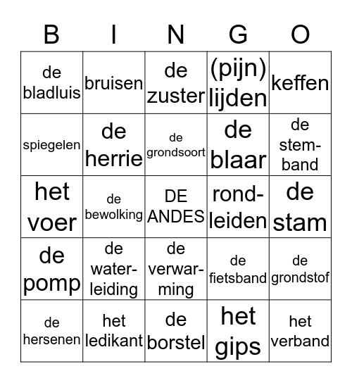 Groep 5  thema's 7 en 8 Bingo Card