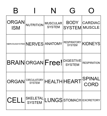 Bodies and Systems Bingo Card