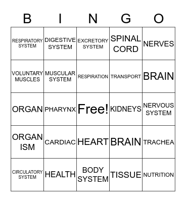 Structure and Function of Life - Body Systems Bingo Card