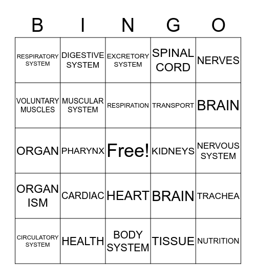 Structure and Function of Life - Body Systems Bingo Card