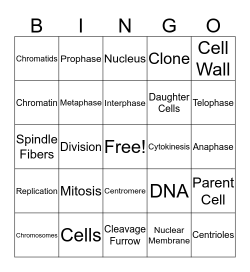 Mitosis Song Bingo Card