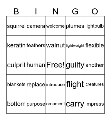 Vocabulary Bingo Card