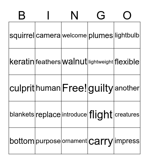 Vocabulary Bingo Card