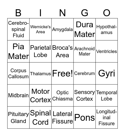 Brain Games Bingo Card