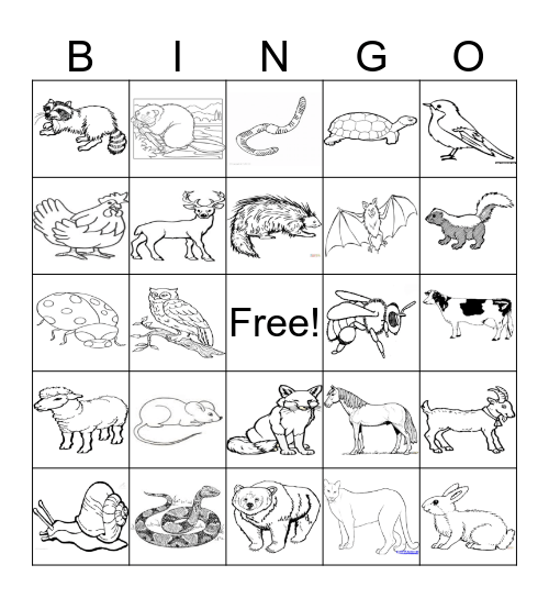ANIMALS Bingo Card