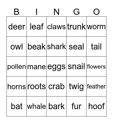 The natural world Bingo Card