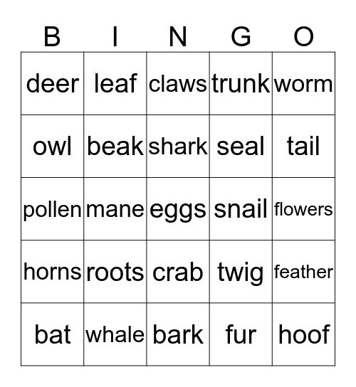 The natural world Bingo Card