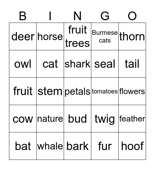 The natural world Bingo Card